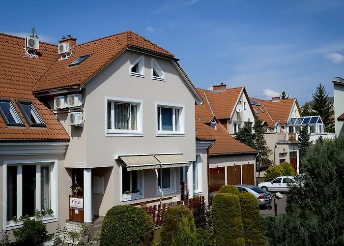 Vincze Vendeghaz